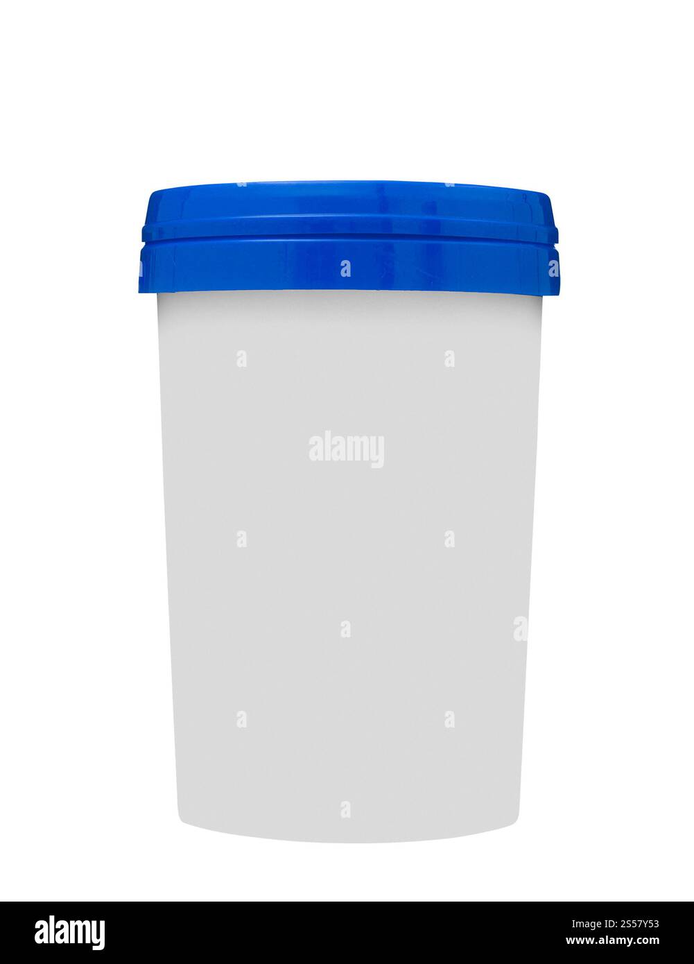 Contenitore di plastica blu per alimenti isolato su bianco Foto Stock