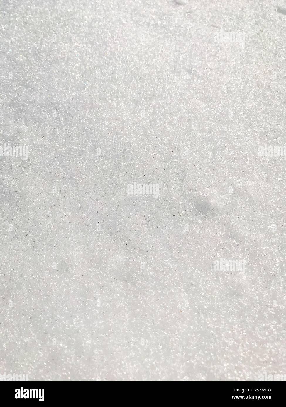 Sfondo texture neve. Sfondo invernale bianco puro. Sfondo texture neve Foto Stock