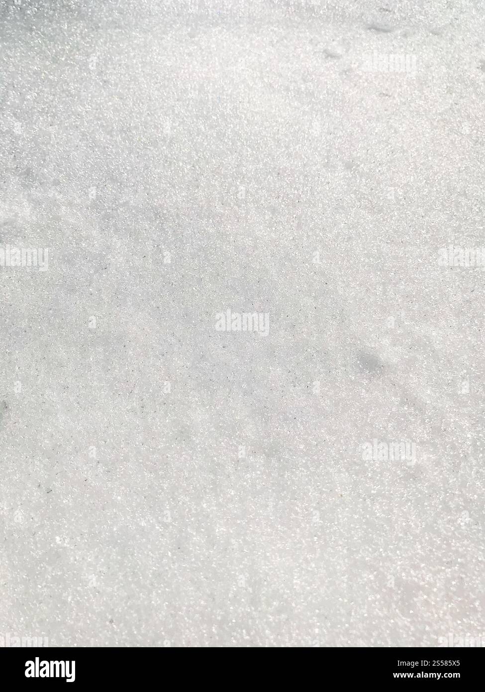 Sfondo texture neve. Sfondo invernale bianco puro. Sfondo texture neve Foto Stock