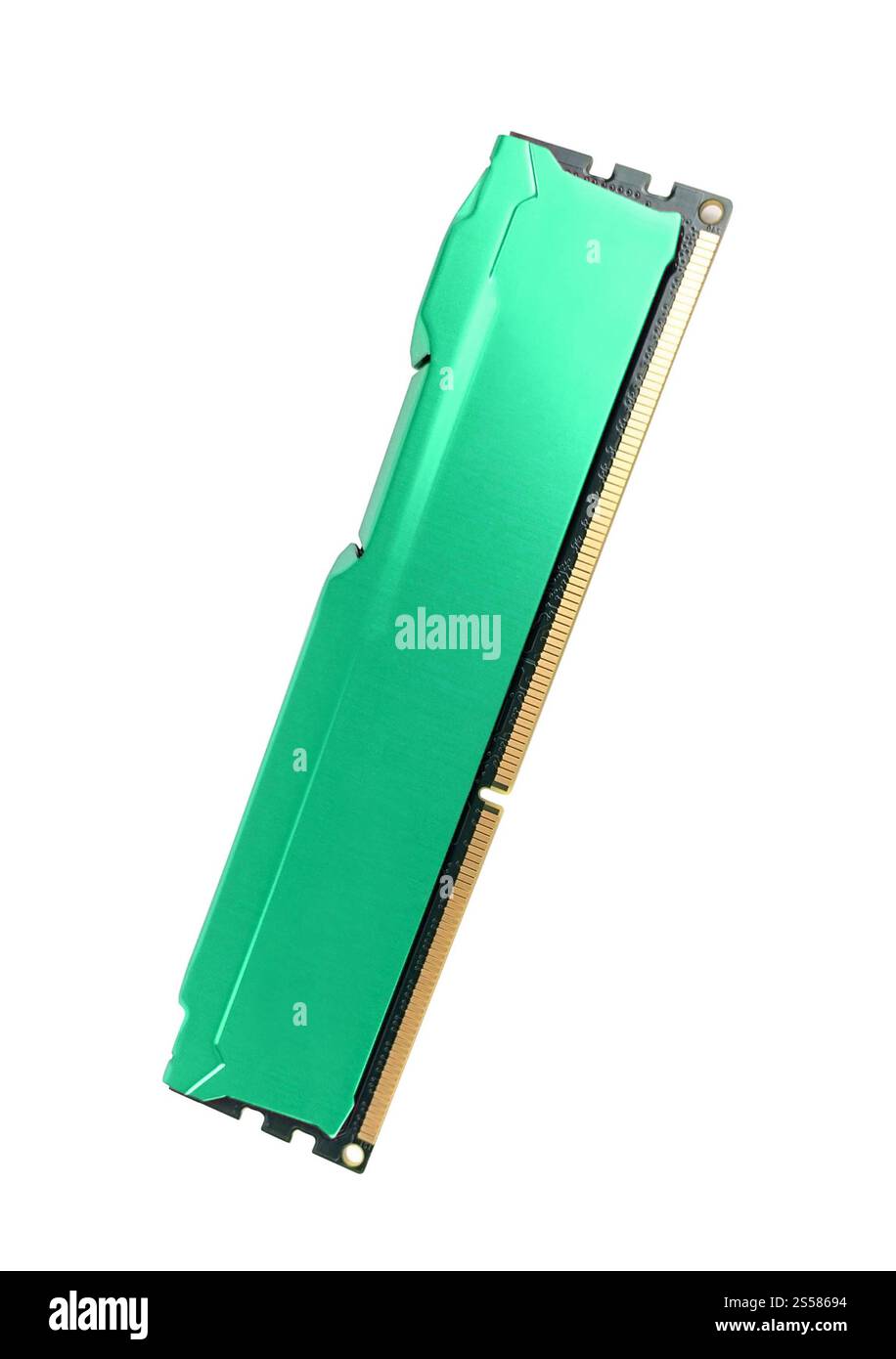 Ram del computer su sfondo bianco Foto Stock