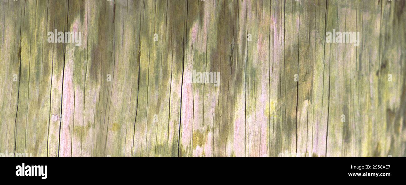 Sfondo legno invecchiato Foto Stock