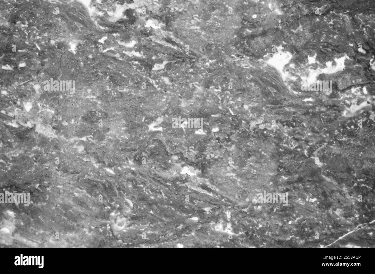 Sfondo in pietra, parete di roccia Foto Stock