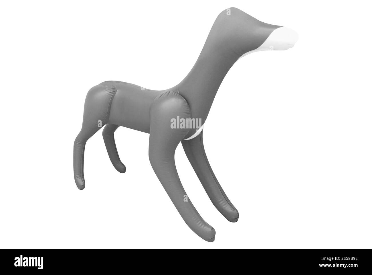 Ballon dog isolato Foto Stock