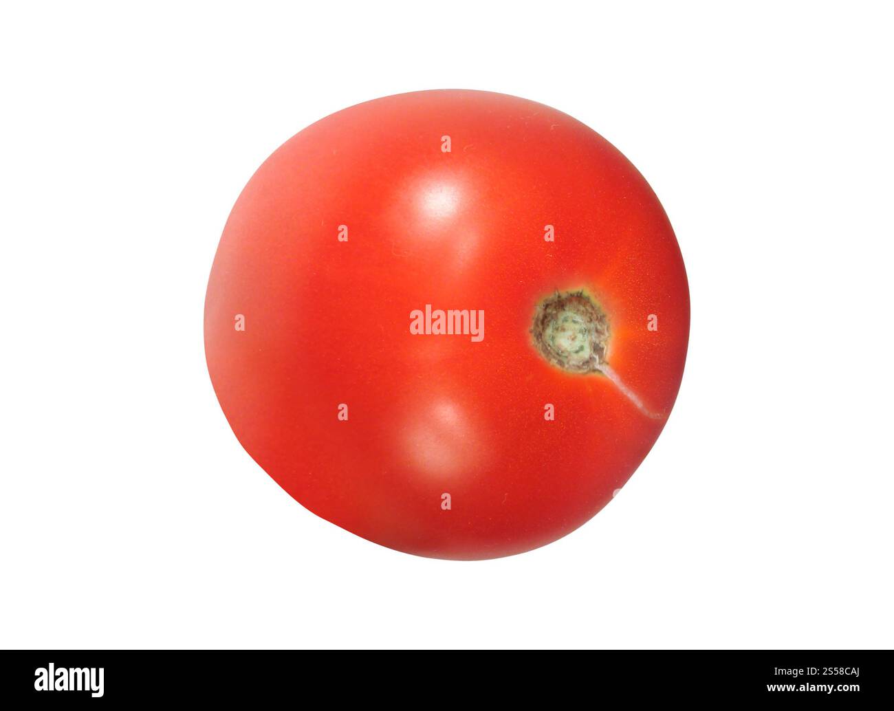 Pomodoro rosso brillante isolato Foto Stock