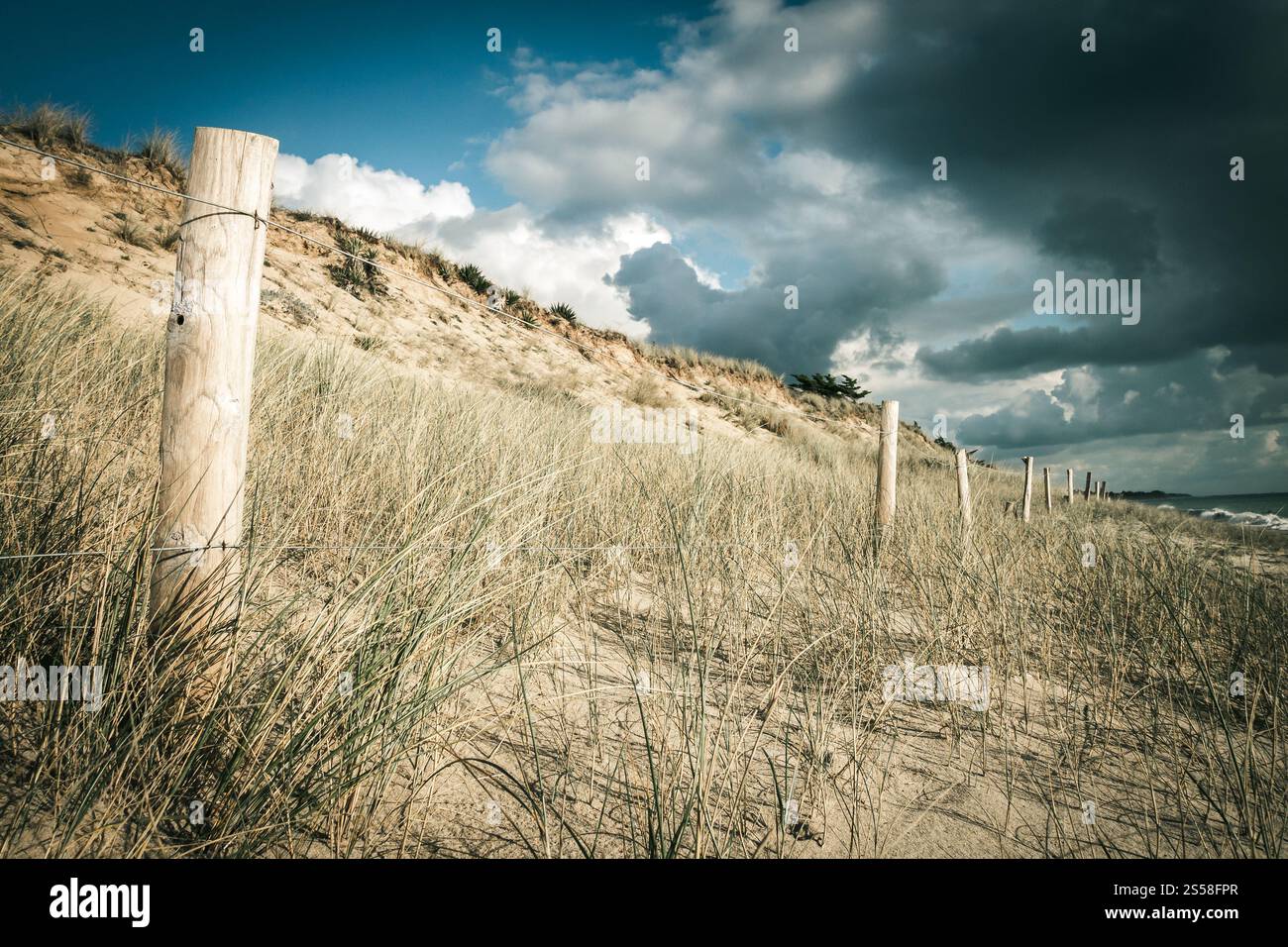 Duna di sabbia e recinzione su una spiaggia, Re Island, Francia. Sfondo nuvoloso. Duna di sabbia e recinzione su una spiaggia, Re Island, Francia Foto Stock