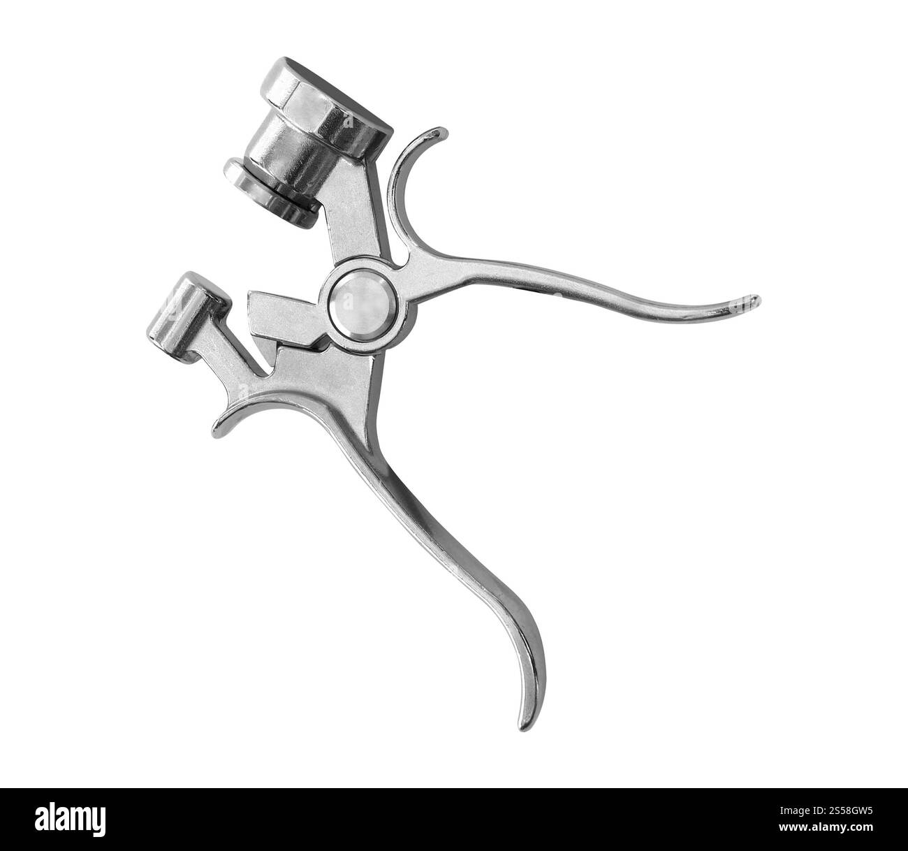 pistola a spruzzo isolata su sfondo bianco Foto Stock