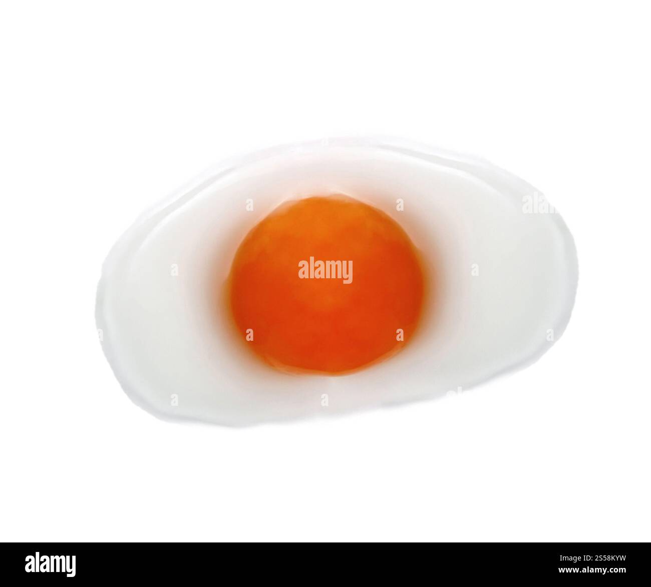 Il tuorlo d'uovo ha isolato uno sfondo bianco. Tuorlo d'uovo su sfondo bianco Foto Stock