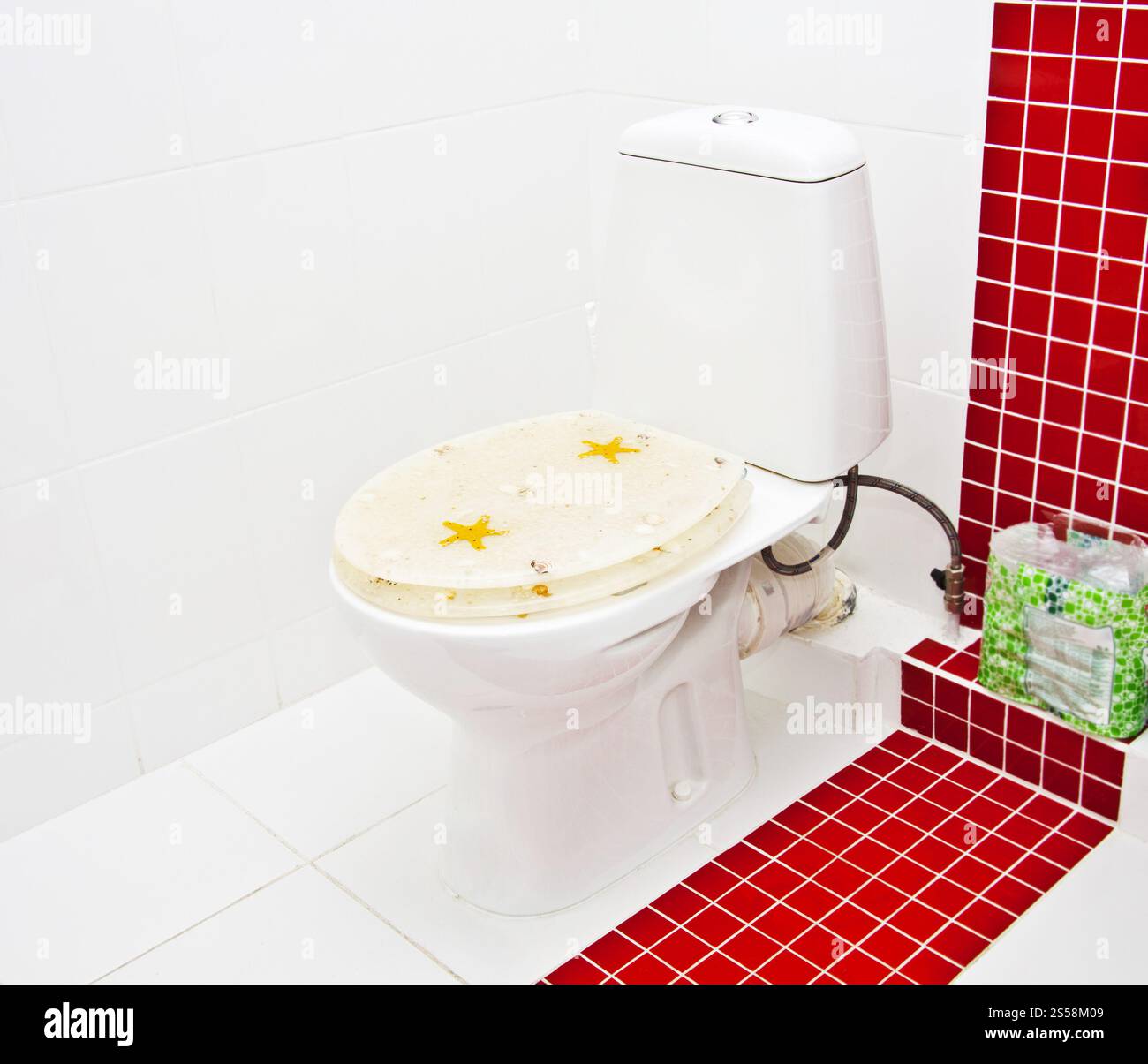 bagno moderno con wc. bagno moderno Foto Stock