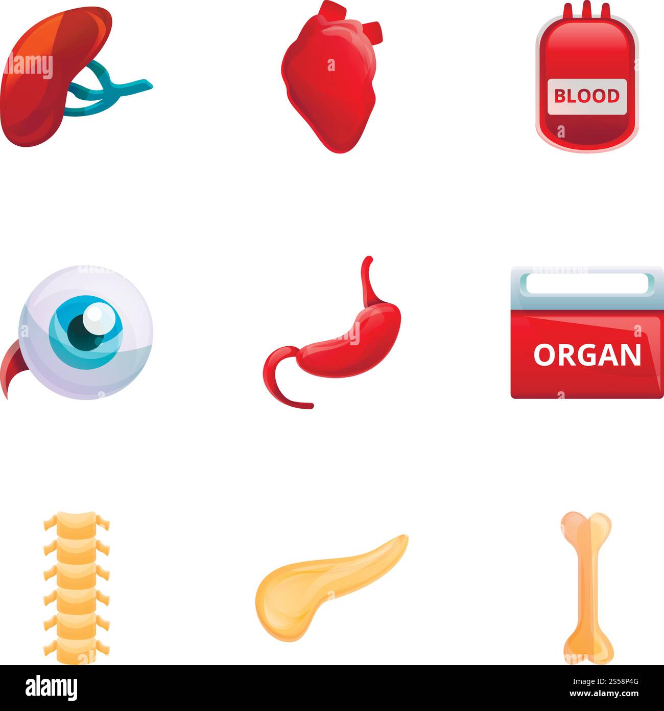 Set di icone degli organi umani. Set di cartoni animati di 9 icone vettoriali di organi umani per il web design isolate su sfondo bianco. Set di icone degli organi umani, stile cartoni animati Illustrazione Vettoriale