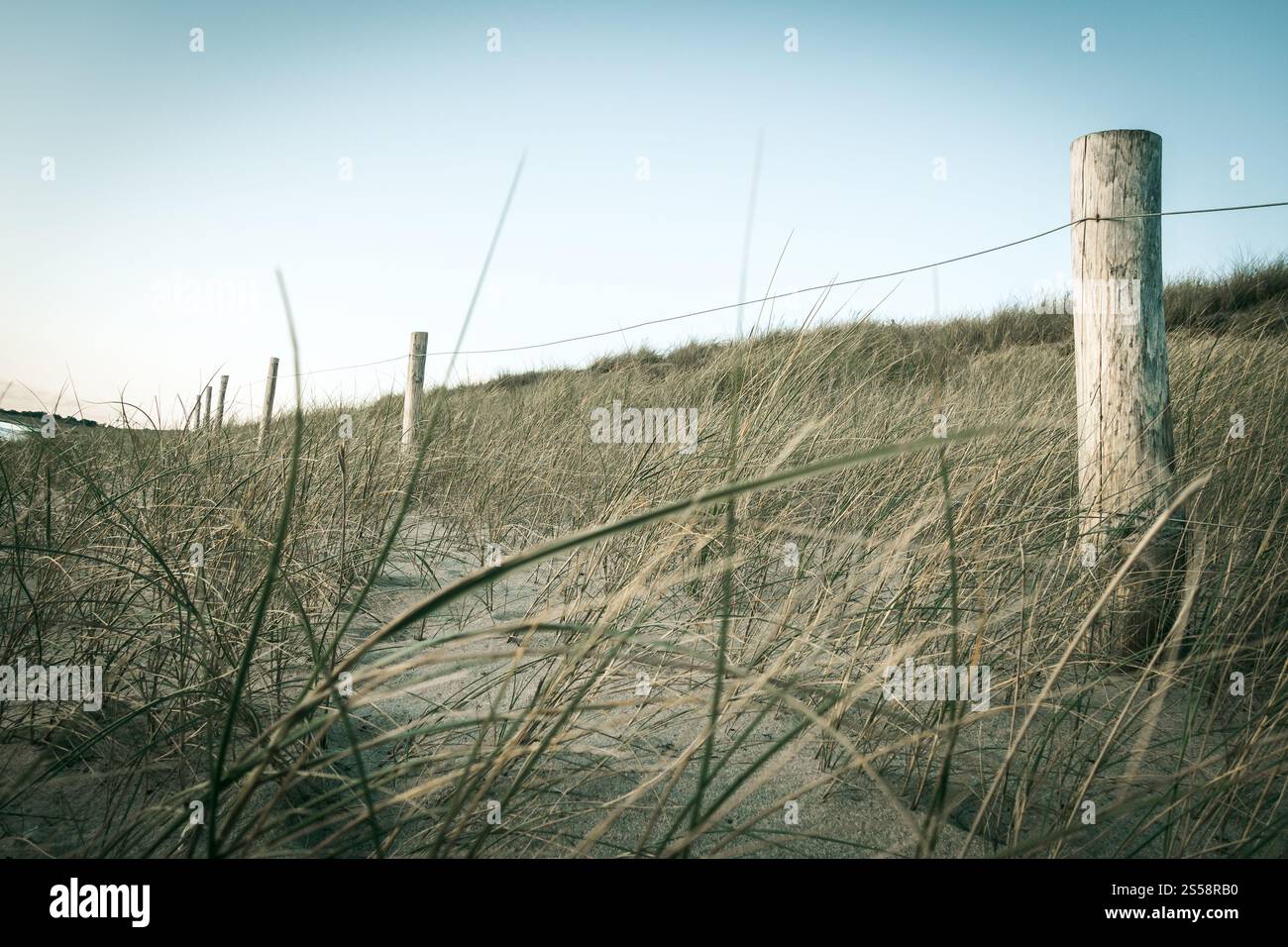 Duna di sabbia e recinzione su una spiaggia al tramonto. Re Island, Francia. Duna di sabbia e recinzione su una spiaggia al tramonto. Isola di Re Foto Stock