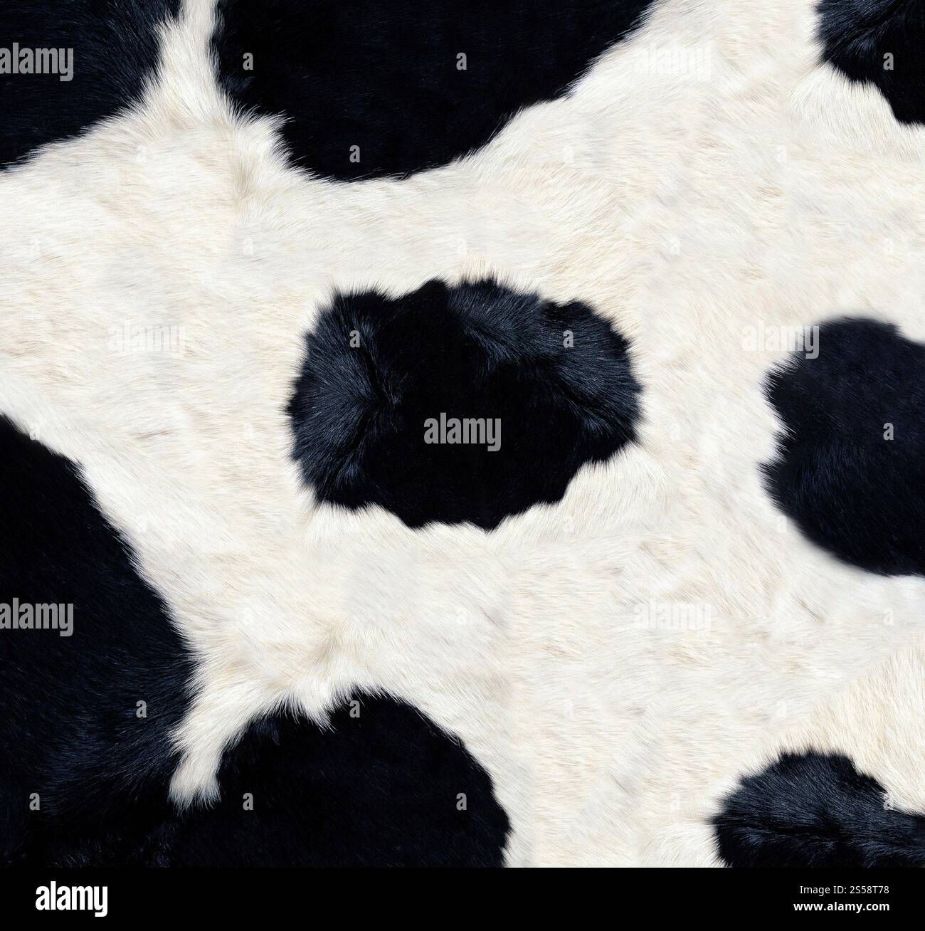 Texture o sfondo della pelle di mucca. Consistenza della pelle di mucca Foto Stock