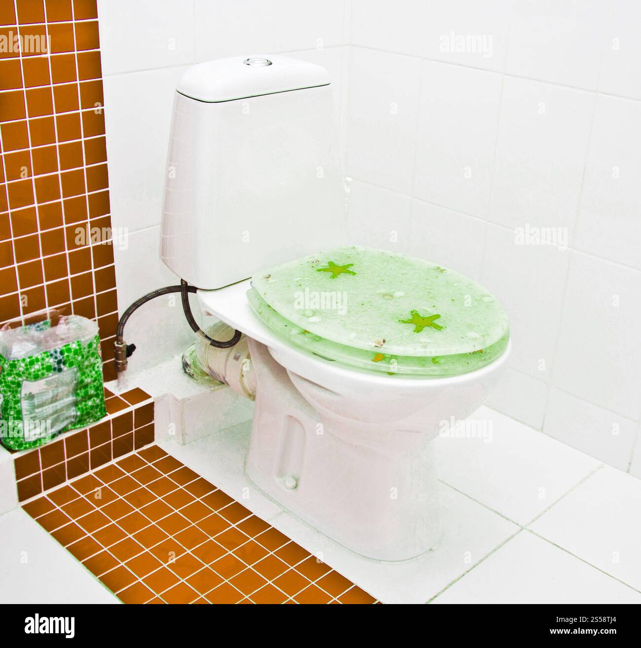 il bagno era bello e moderno. bagno moderno con wc Foto Stock