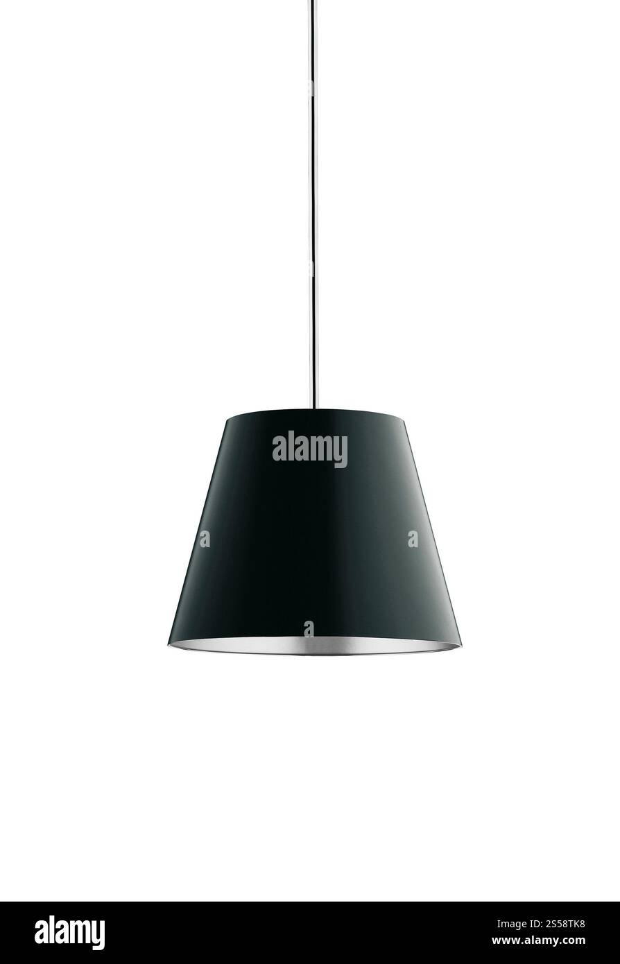 piantana isolata su sfondo bianco. piantana isolata Foto Stock