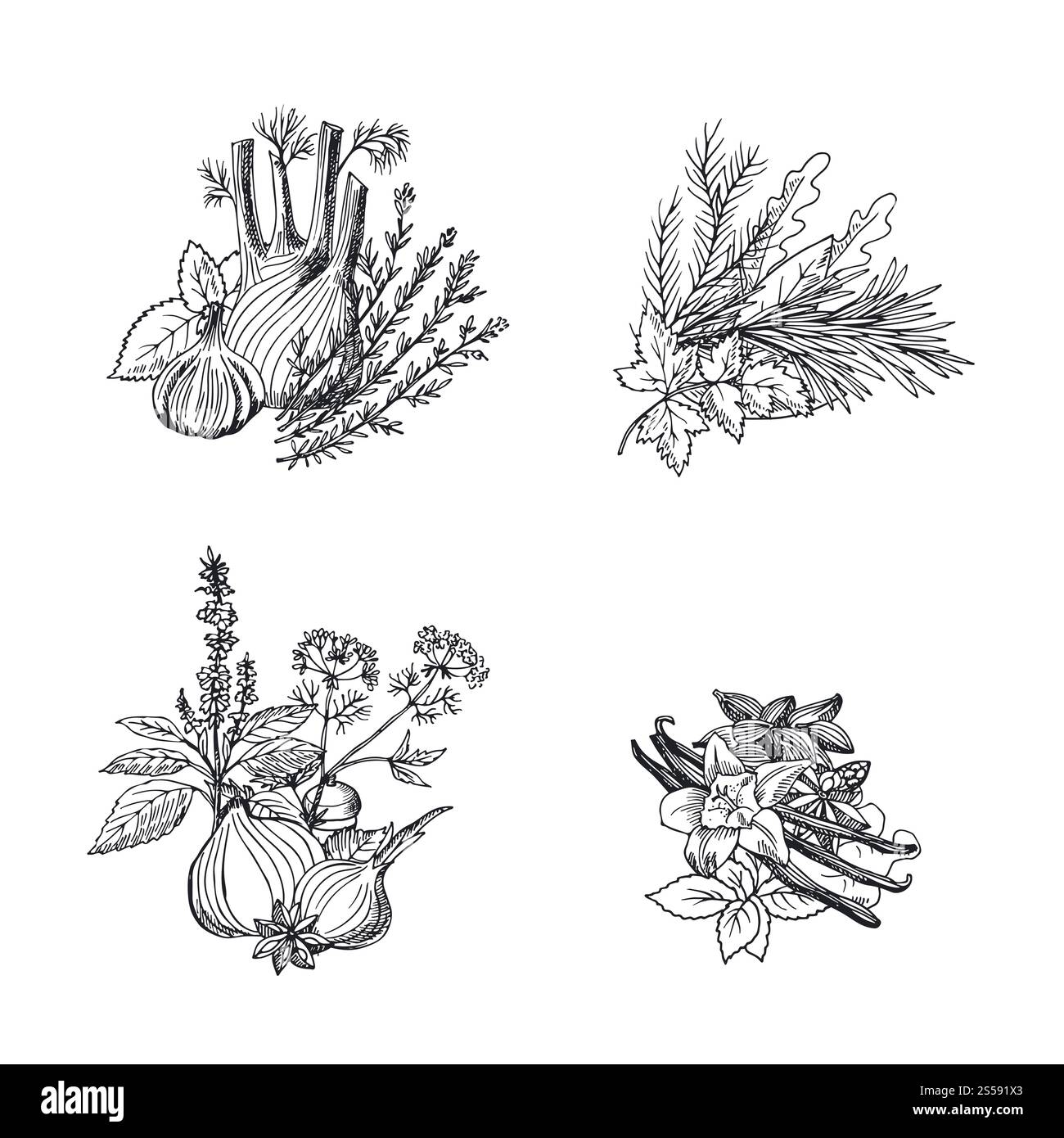 Le pile di erbe e spezie disegnate a mano con vettore creano un'illustrazione isolata su sfondo bianco. Illustrazione delle pile di erbe e spezie disegnate a mano Illustrazione Vettoriale