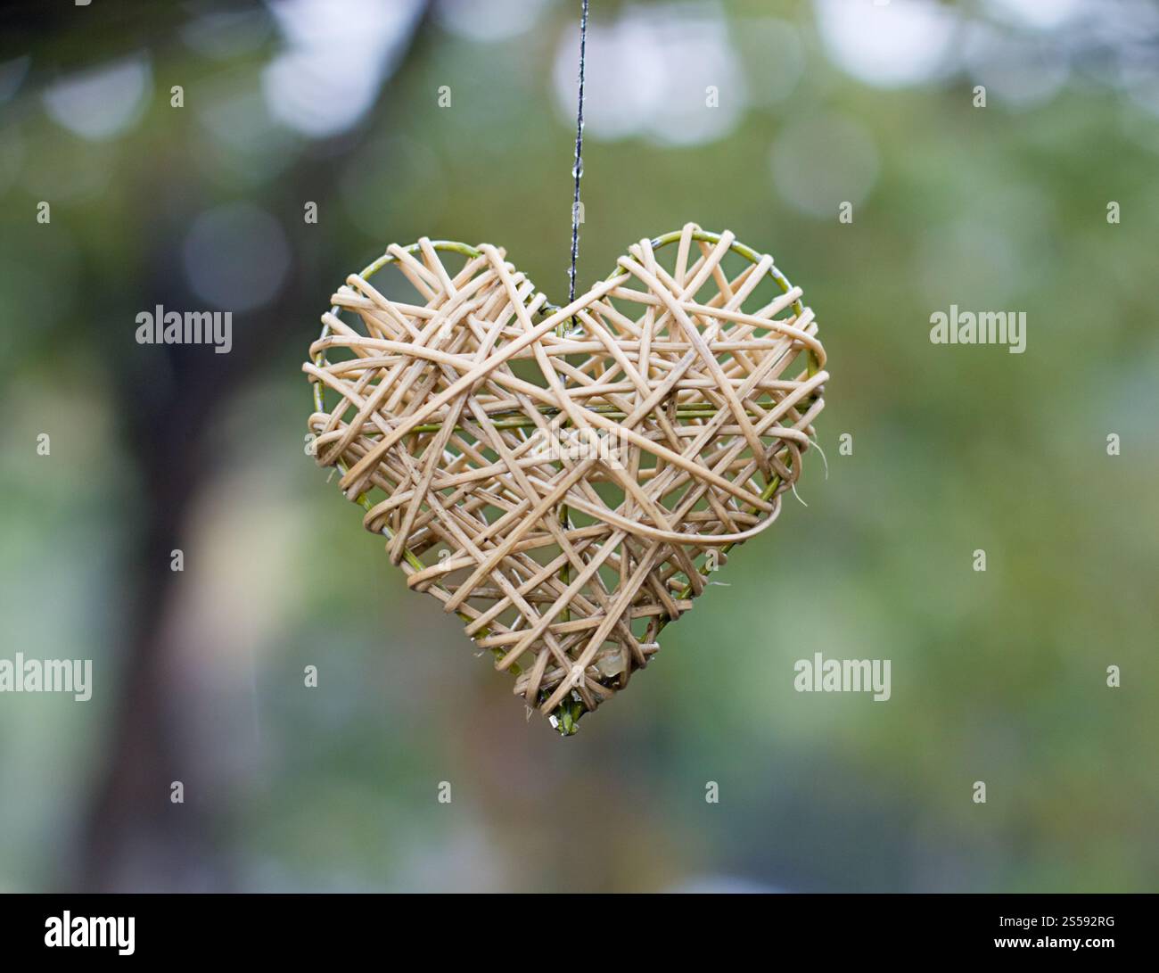 Figura a forma di cuore in legno da vicino. Figura a forma di cuore in legno Foto Stock Figura a forma di cuore in legno da vicino. Figura a forma di cuore in legno Foto Stock