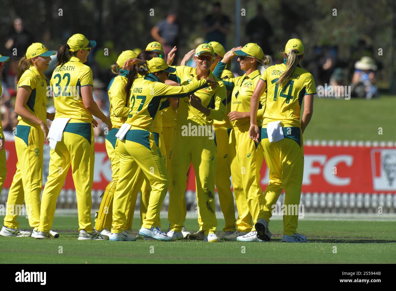 MELBOURNE, AUSTRALIA. 14 gennaio 2025. La squadra australiana di cricket femminile celebra la sconfitta della squadra inglese di cricket femminile nella seconda serie One Day International of the Ashes a Melbourne al CitiPower Centre, Junction Oval Melbourne, Australia il 14 gennaio 2025 Credit: Karl Phillipson/Alamy Live News Foto Stock