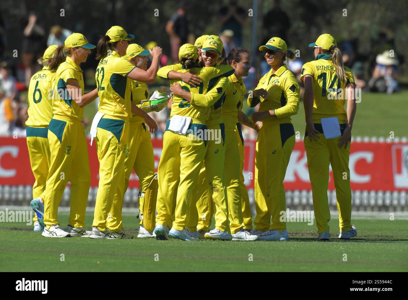 MELBOURNE, AUSTRALIA. 14 gennaio 2025. La squadra australiana di cricket femminile celebra la sconfitta della squadra inglese di cricket femminile nella seconda serie One Day International of the Ashes a Melbourne al CitiPower Centre, Junction Oval Melbourne, Australia il 14 gennaio 2025 Credit: Karl Phillipson/Alamy Live News Foto Stock