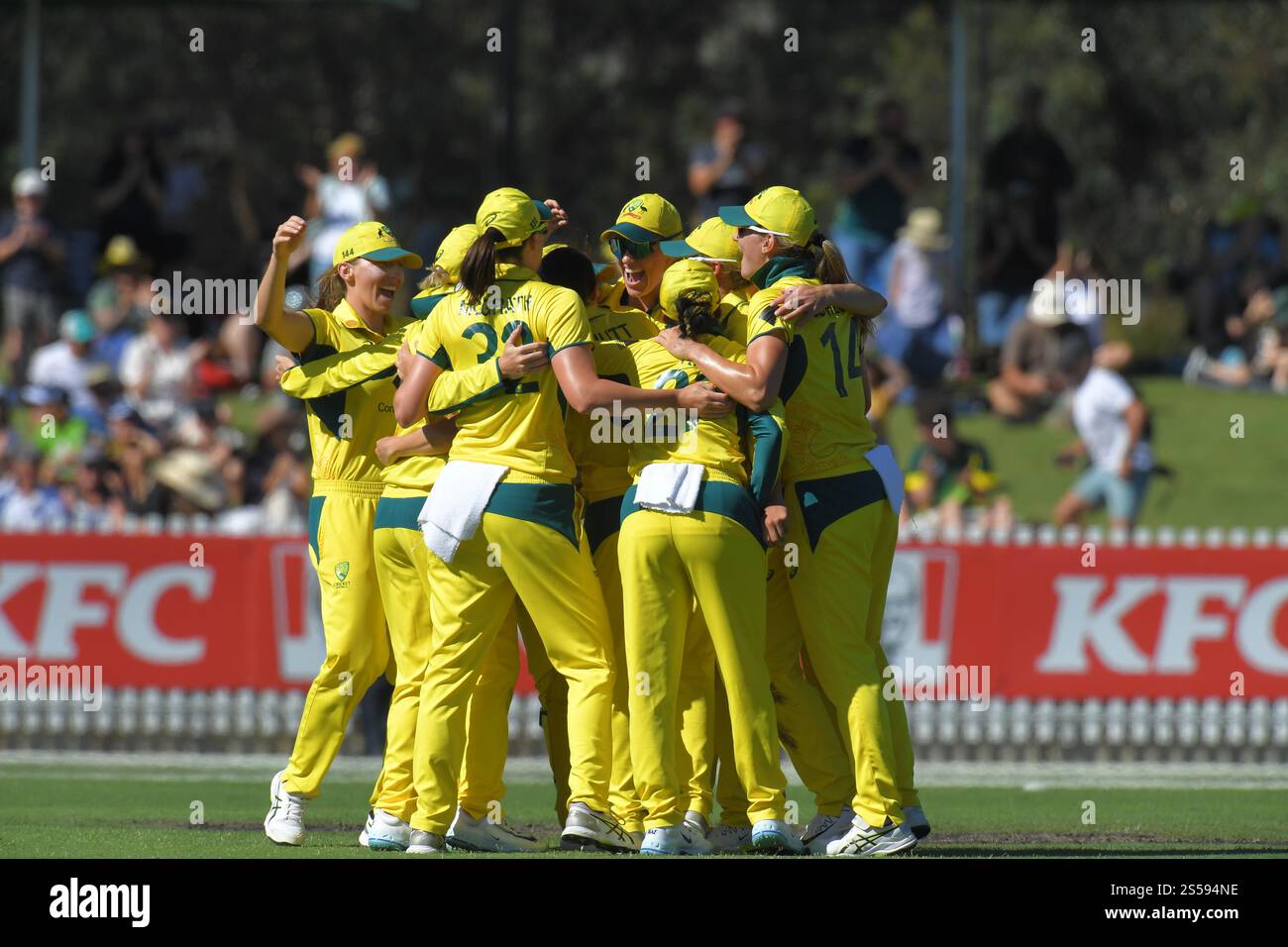 MELBOURNE, AUSTRALIA. 14 gennaio 2025. La squadra australiana di cricket femminile celebra la sconfitta della squadra inglese di cricket femminile nella seconda serie One Day International of the Ashes a Melbourne al CitiPower Centre, Junction Oval Melbourne, Australia il 14 gennaio 2025 Credit: Karl Phillipson/Alamy Live News Foto Stock