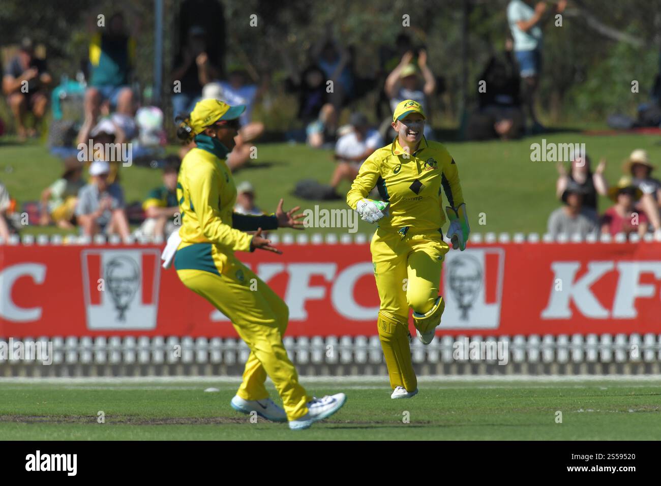 MELBOURNE, AUSTRALIA. 14 gennaio 2025. La squadra australiana di cricket femminile celebra la sconfitta della squadra inglese di cricket femminile nella seconda serie One Day International of the Ashes a Melbourne al CitiPower Centre, Junction Oval Melbourne, Australia il 14 gennaio 2025 Credit: Karl Phillipson/Alamy Live News Foto Stock
