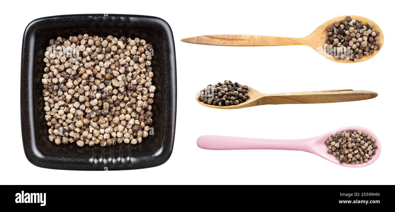 set di vari monaci pepe (vitex) isolati su backgrouns bianchi Foto Stock