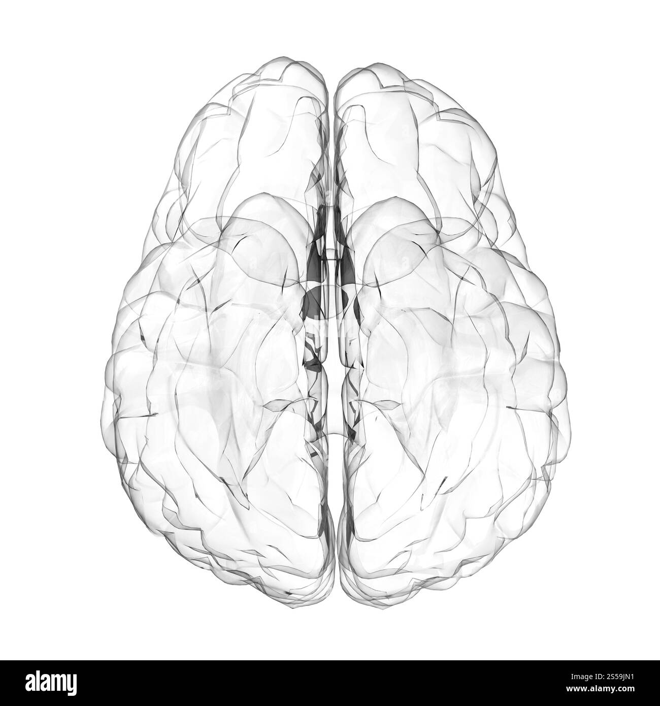 3d cervello umano effetto vetro su sfondo bianco Foto Stock