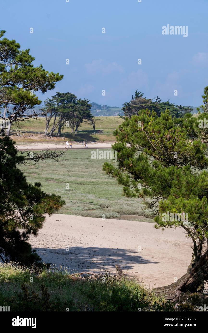 Saint-Coulomb, la Guimorais (Bretagna, Francia nord-occidentale): La costa con bassa marea alla fine del porto di Rothéneuf Foto Stock