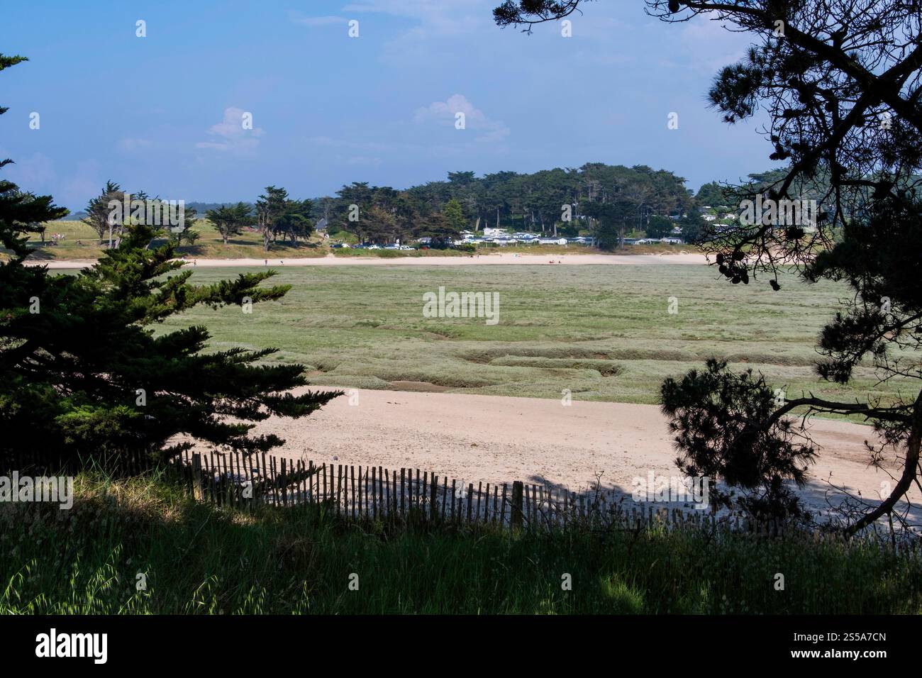 Saint-Coulomb, la Guimorais (Bretagna, Francia nord-occidentale): La costa con bassa marea alla fine del porto di Rothéneuf Foto Stock