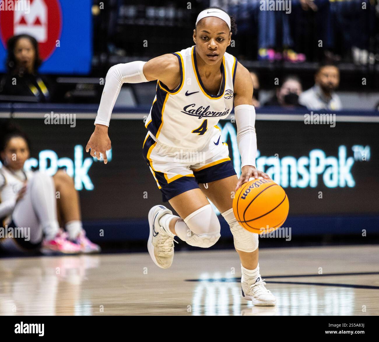 Haas Pavilion Berkeley, California, Stati Uniti. 12 gennaio 2025. La guardia della California degli Stati Uniti Kayla Williams (4) va al cerchio durante la partita di basket femminile NCAA ACC tra i Florida State Seminoles e i California Golden Bears. La California ha battuto la Florida State 82-70 all'Haas Pavilion Berkeley California. Thurman James/CSM/Alamy Live News Foto Stock