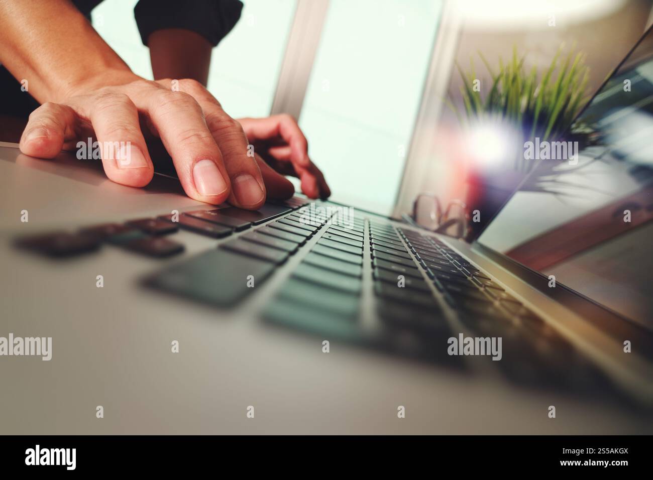 Close up di business man mano lavorando sul computer portatile con pianta verde sulla scrivania di legno come concetto Foto Stock