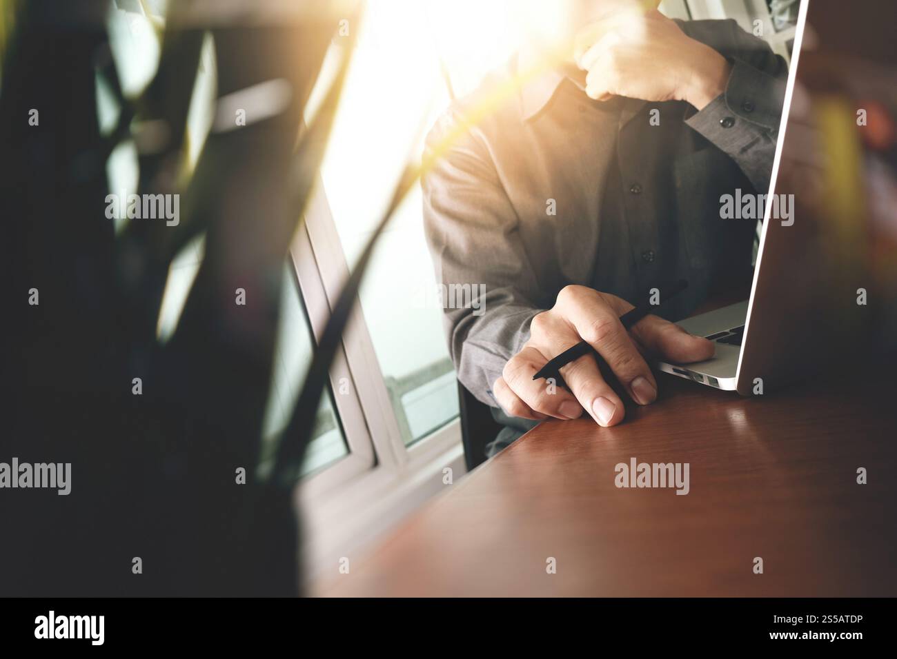 Progettista della lavorazione manuale del portatile con pianta verde in primo piano sulla scrivania di legno in office Foto Stock