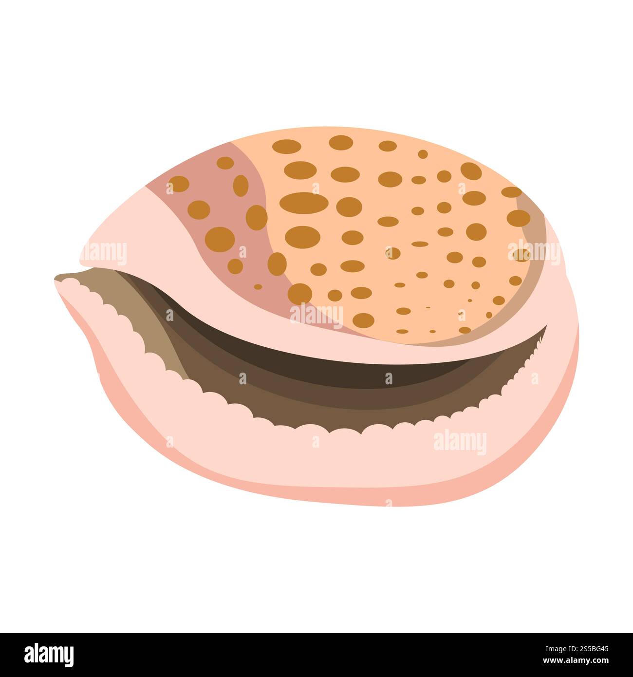 Conchiglie o conchiglie e molluschi marini o oceanici. Guscio bivalvo e gasteropode di forma o tipo diverso con bordo ornato. Icona piatta isolata dal vettore con ripetizione naturale. Conchiglie o conchiglie e molluschi marini o oceanici. Illustrazione Vettoriale