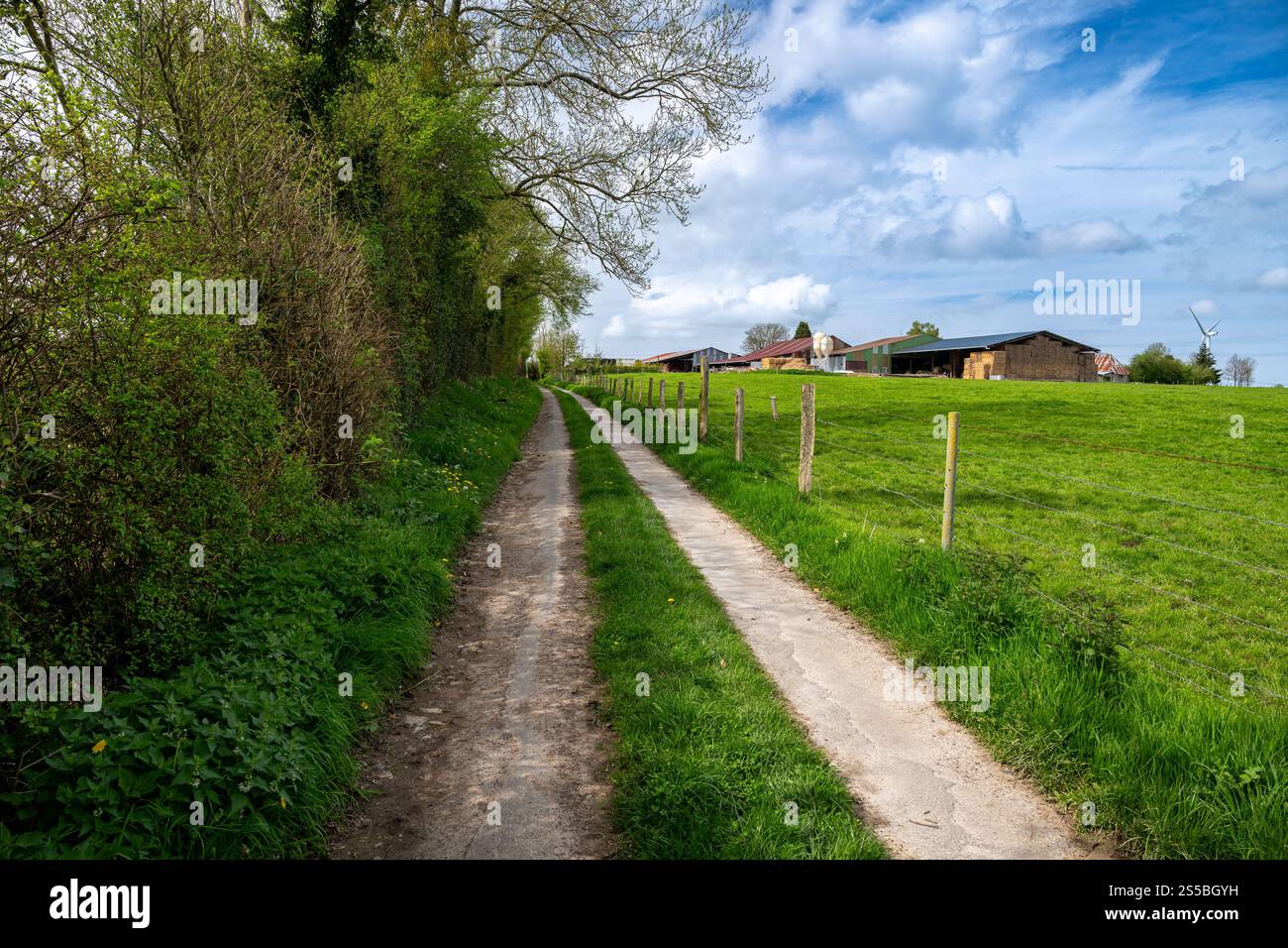 Paesaggio rurale con strada agricola, campo e fattoria sullo sfondo Foto Stock