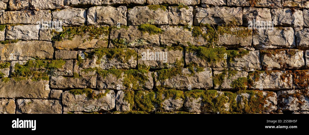 Un muro in pietra invecchiata caratterizzato da muschio verde vivido, che mostra bellezza naturale e decadimento. Perfetto per illustrare concetti di patrimonio rustico, crescita naturale Foto Stock
