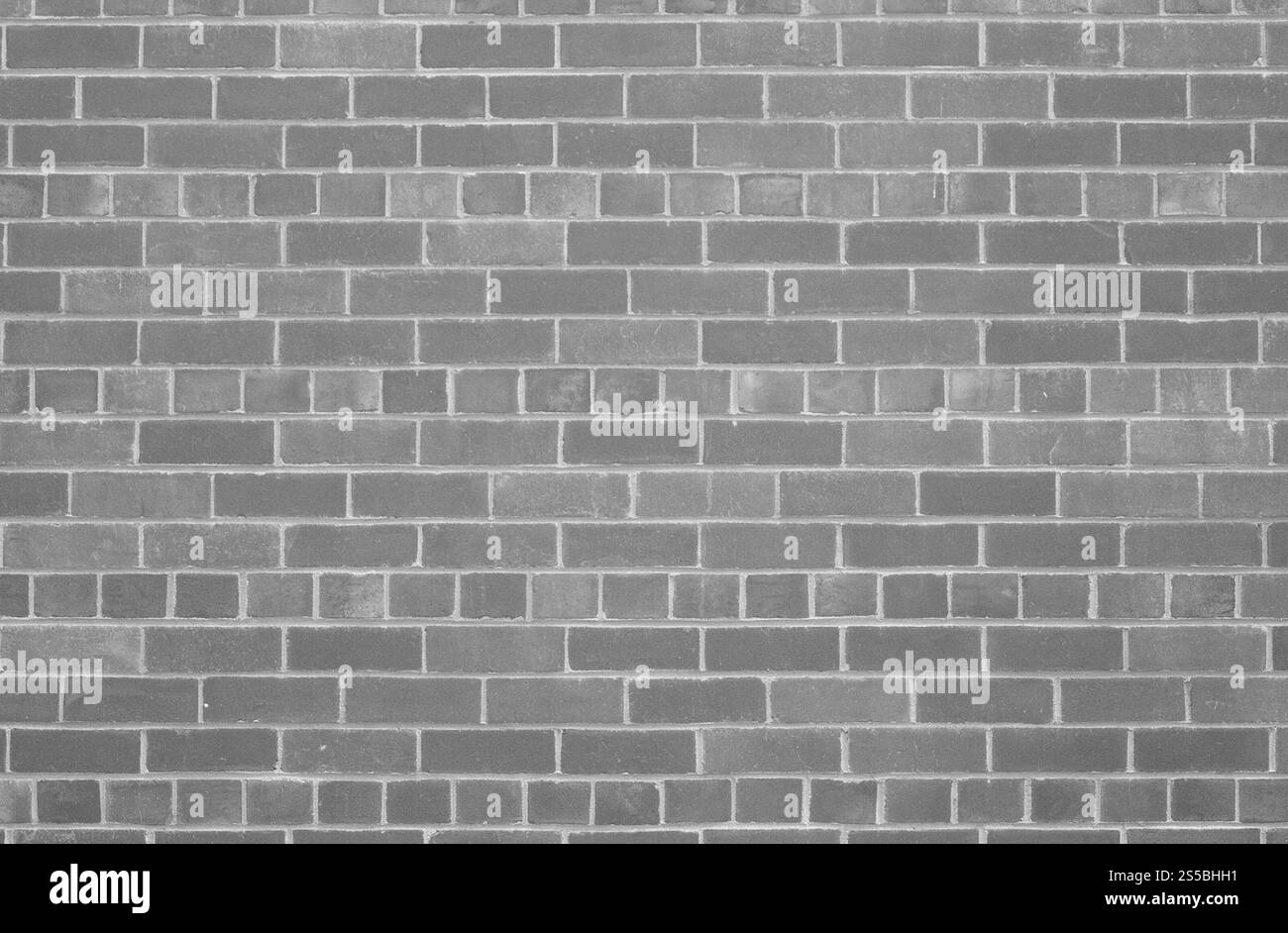 primo piano sulla struttura della parete o sullo sfondo Foto Stock