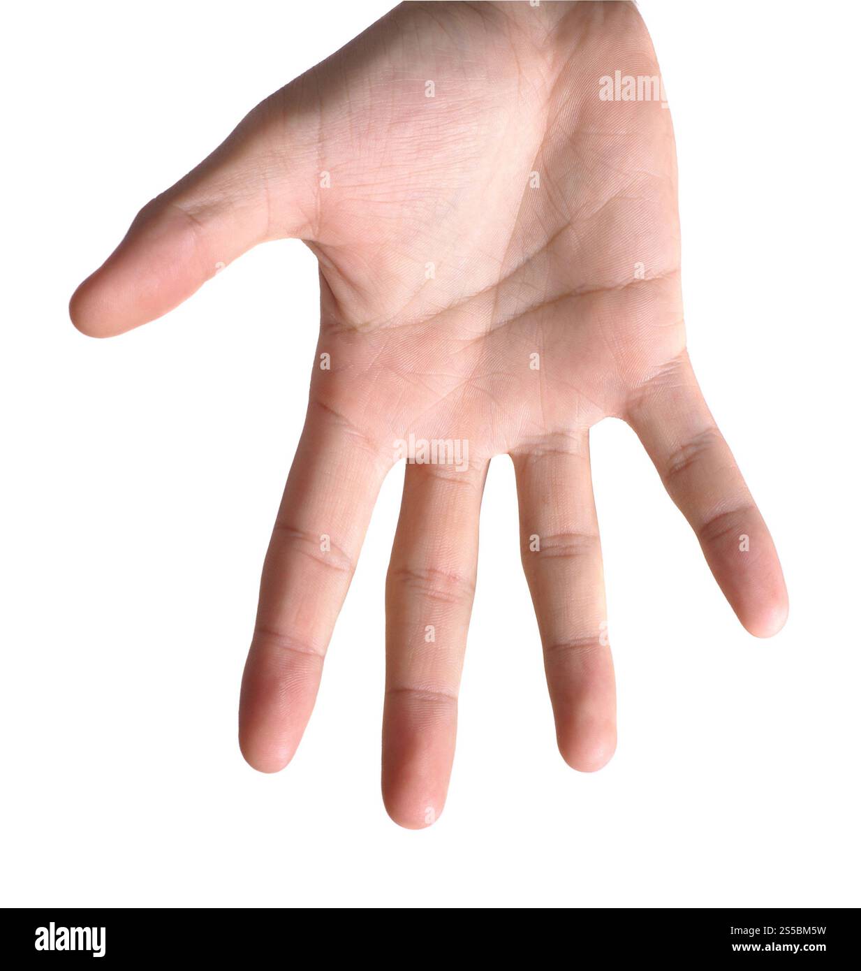 simbolo della mano che significa cinque su sfondo bianco. simbolo della mano che significa cinque Foto Stock