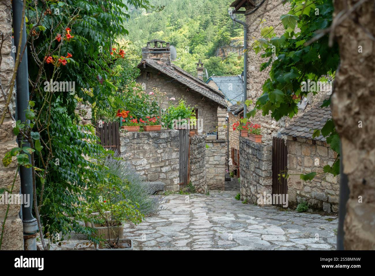 Sainte-Enimie (Francia meridionale) Foto Stock