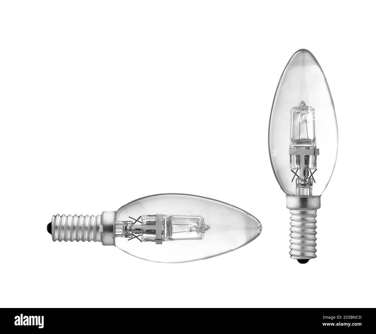 due lampadine isolate su sfondo bianco. due lampadine Foto Stock