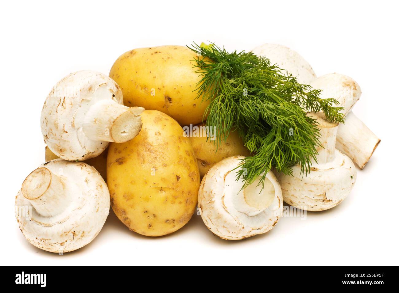 champignon crudo con patate isolate su sfondo bianco. champignon crudo con patate Foto Stock