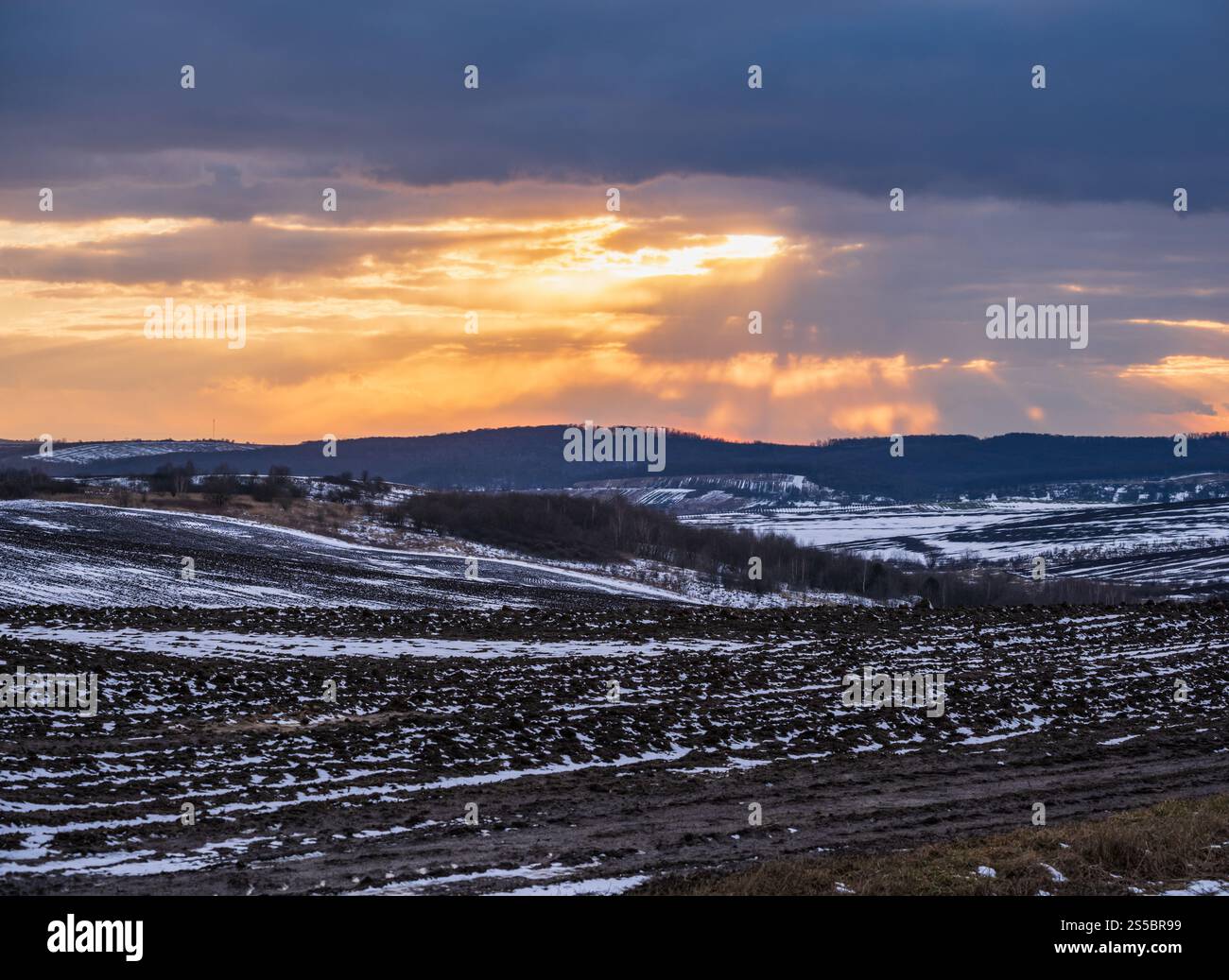 Terra nera, terra arabile coperta dall'ultima neve, primavera primaverile. Calmo tramonto serale nella campagna Ucraina, regione di Lviv. Foto Stock