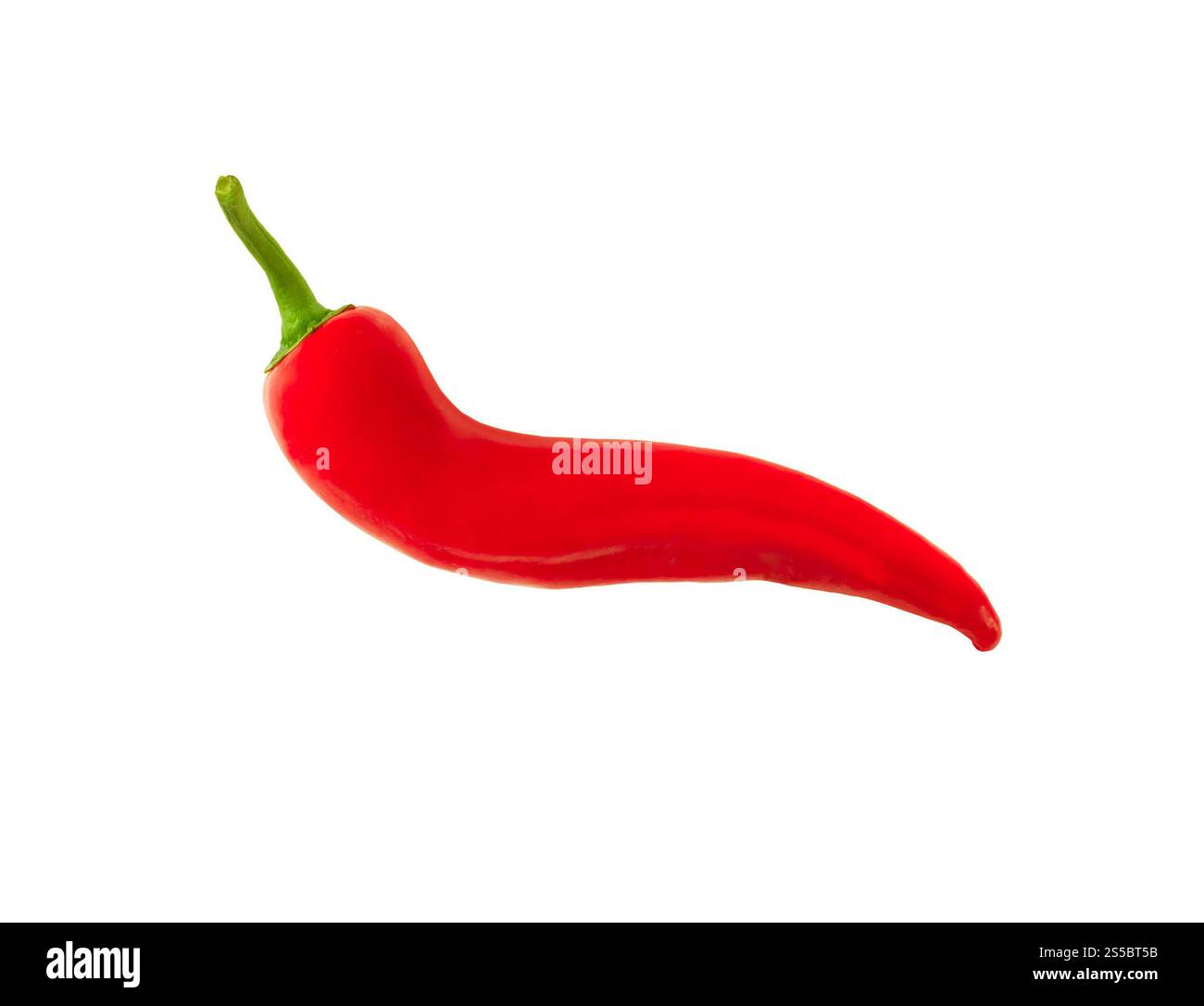 peperoncino rosso caldo isolato su fondo bianco. peperoncino rosso caldo isolato Foto Stock