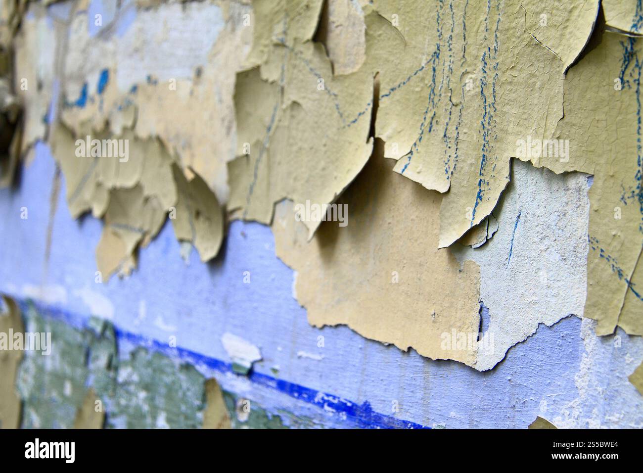 La vecchia vernice si stacca dal muro in primo piano. Vecchia vernice che si stacca dalla parete Foto Stock