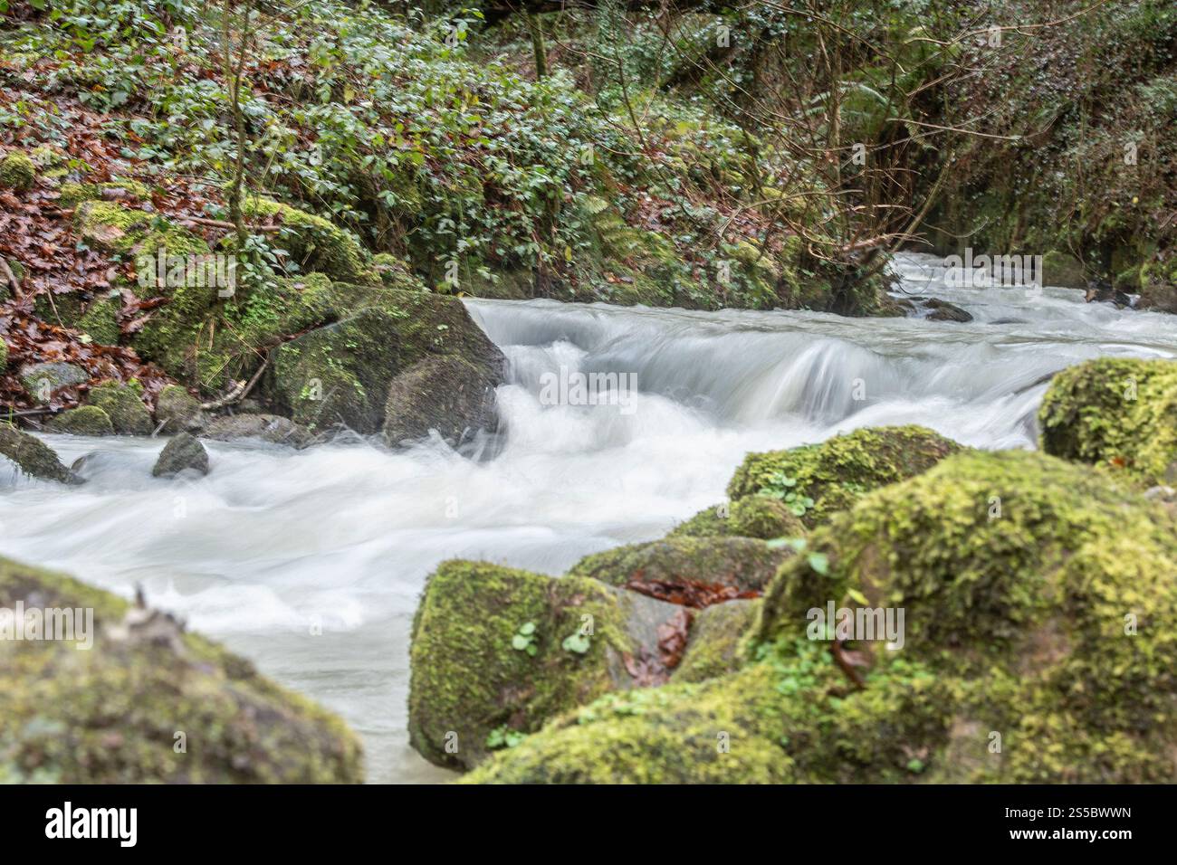 River Barn che scorre attraverso l'area industriale patrimonio della valle nTregargus in Cornovaglia, Regno Unito Foto Stock