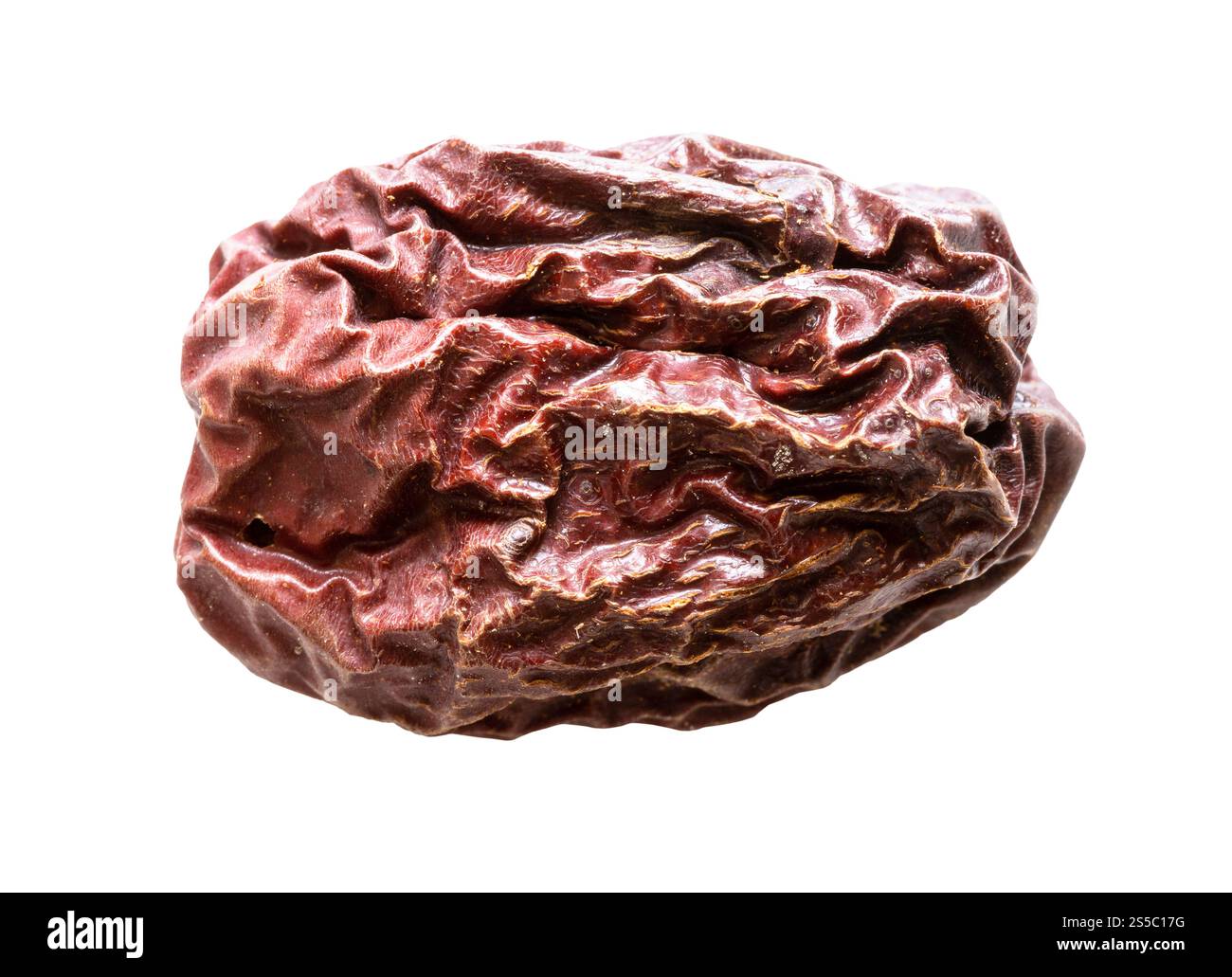 singolo jujube essiccato (dadjubo cinese) frutta isolata su sfondo bianco Foto Stock