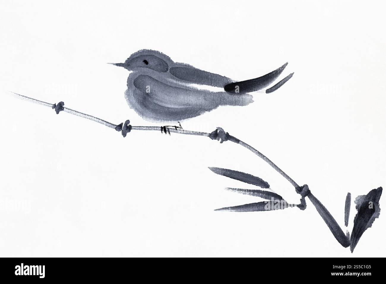 sparrow uccello siede su bambù ramoscello disegnato a mano in stile sumi-e su carta bianca testurizzata con vernice watercolor nero Foto Stock