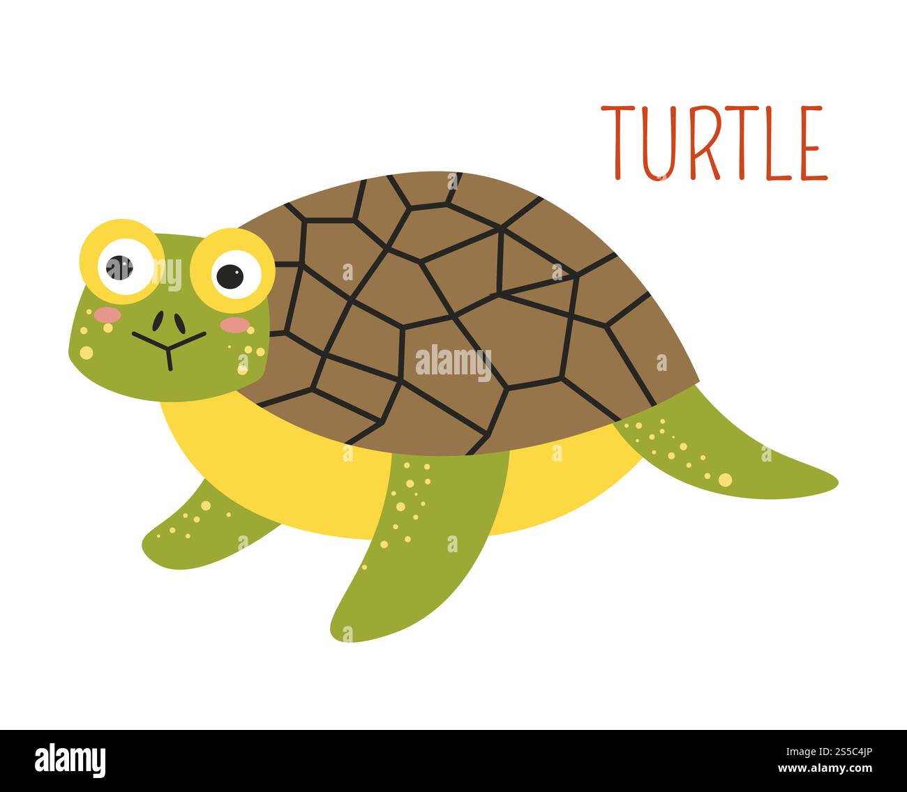 Tartaruga con il personaggio dei cartoni animati dei bambini. Animale anfibio selvaggio con casa sul retro e occhi colorati sul volto curioso. Creatura che vive sulla terra e in mare, illustrazione vettoriale isolata.. Tartaruga con il personaggio dei cartoni animati dei bambini Illustrazione Vettoriale