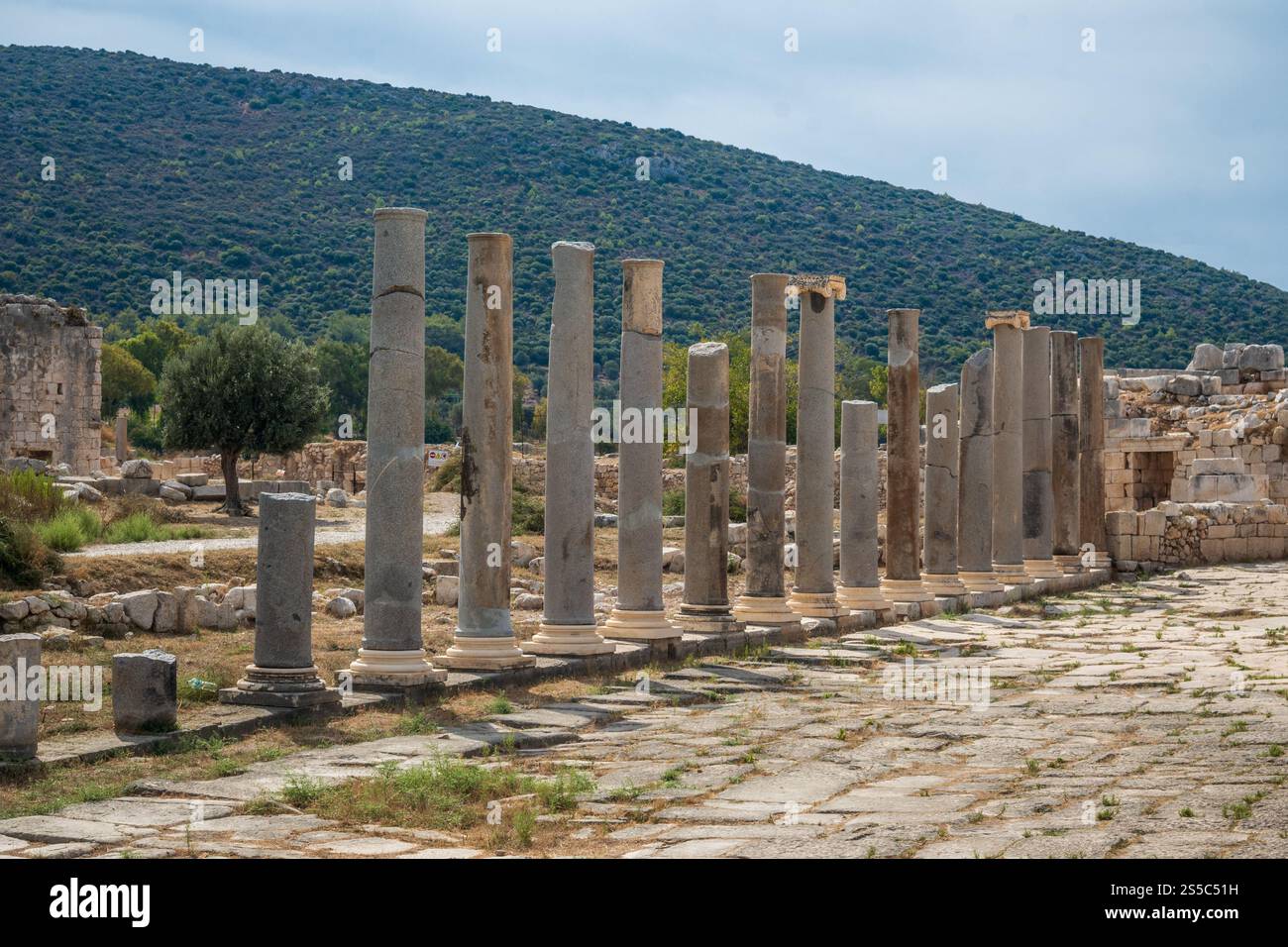 Antiche colonne in pietra provenienti da un sito archeologico storico di patara turchia Foto Stock