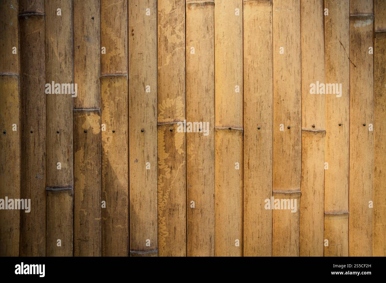 Parete in legno di bambù illuminata da un raggio di luce, sfondo zen. Sfondo in legno di bambù, tappezzeria zen Foto Stock