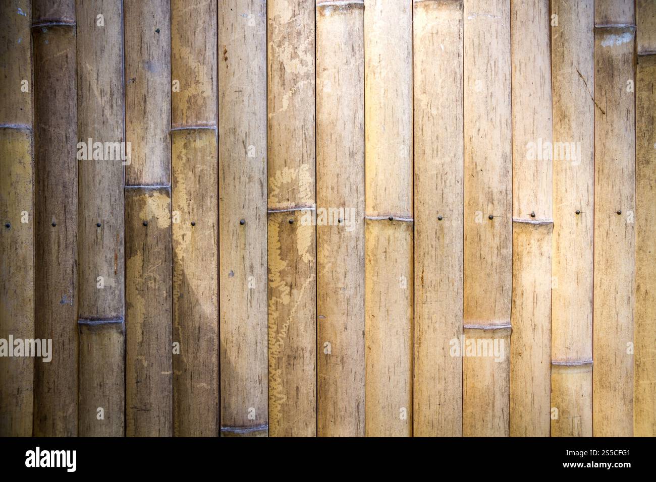 Parete in legno di bambù illuminata da un raggio di luce, sfondo zen. Sfondo in legno di bambù, tappezzeria zen Foto Stock