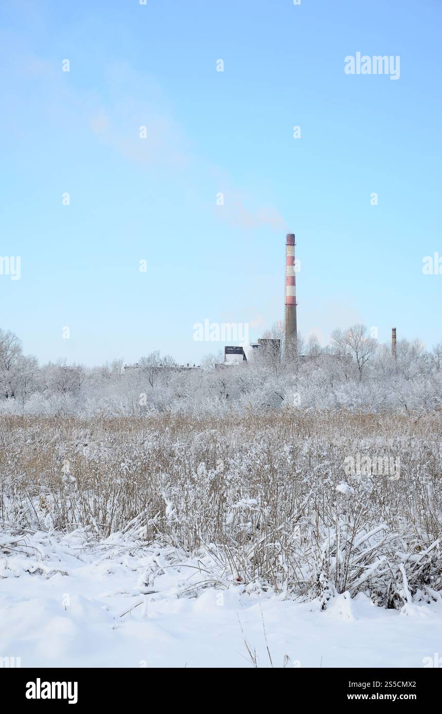 Lo stabilimento industriale si trova dietro il terreno paludoso, coperto di neve. Grande campo di proiettili gialli Foto Stock