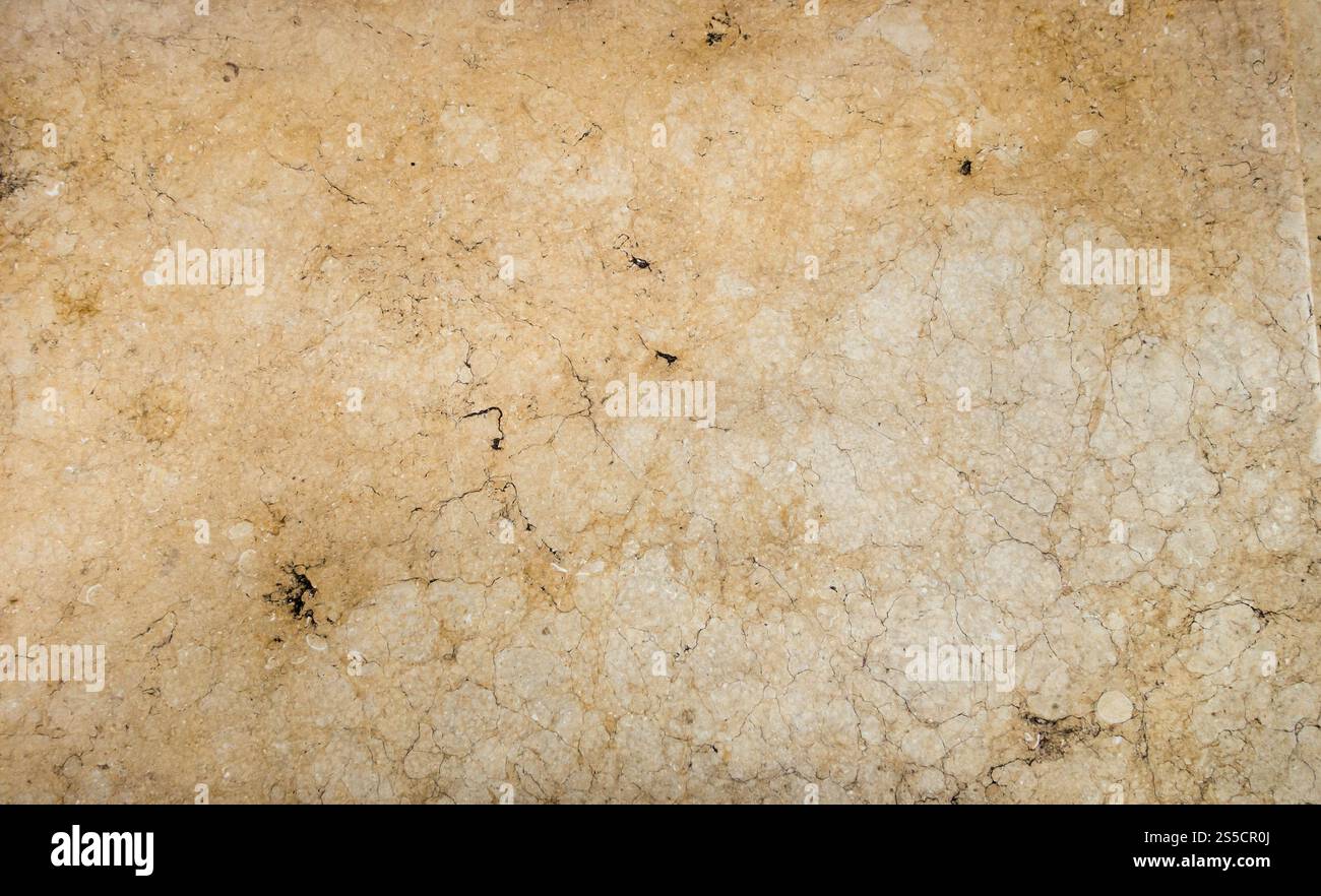 Struttura di fondo in marmo e pietra. sfondo astratto bianco. Texture di fondo in marmo Foto Stock